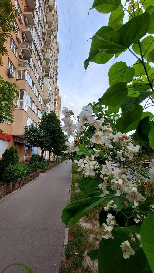просторі *